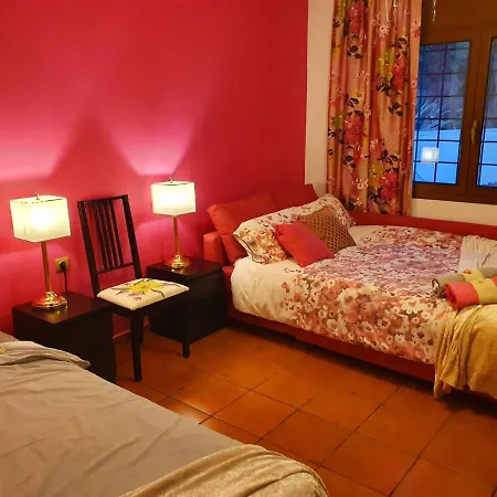 فندق مبيت وإفطار Ashram Sunshine