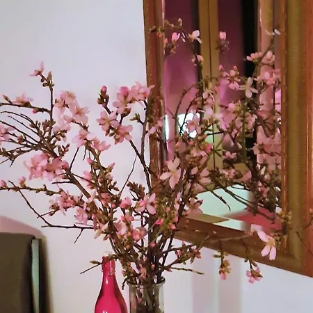 فندق مبيت وإفطار Ashram Sunshine