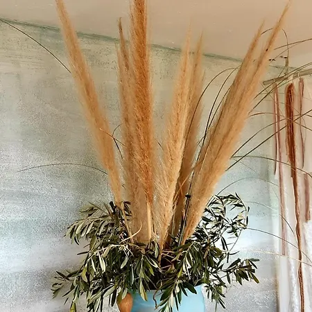 Ashram Sunshine فندق مبيت وإفطار