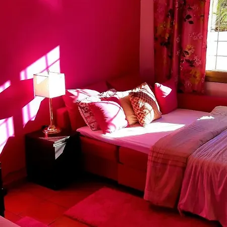 Ashram Sunshine Bed and breakfast *