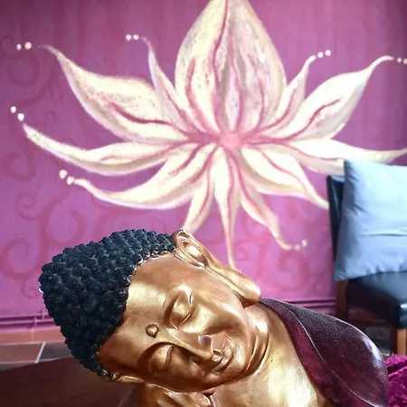 Ashram Sunshine سيدجيس