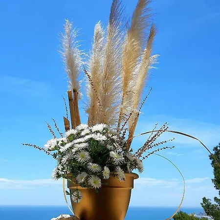 Ashram Sunshine * سيدجيس