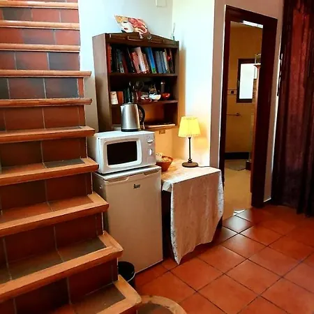 Ashram Sunshine سيدجيس