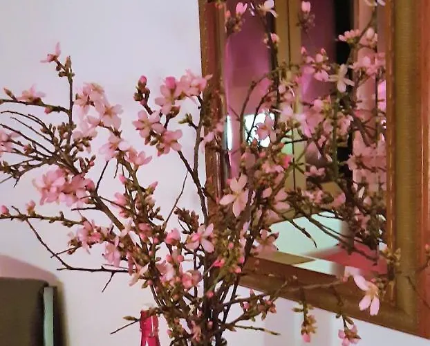 Bed & Breakfast Ashram Sunshine