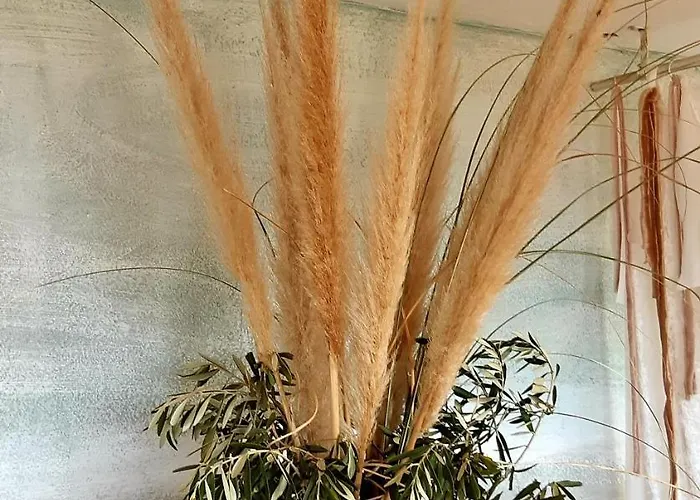 Ashram Sunshine Bed & Breakfast