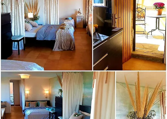 Ashram Sunshine Bed and Breakfast